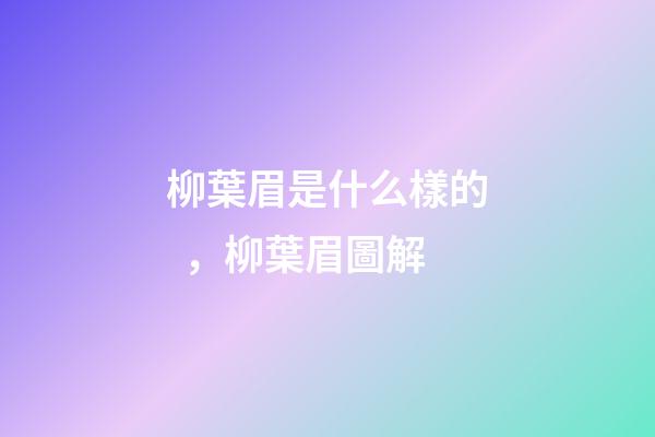 柳葉眉是什么樣的，柳葉眉圖解